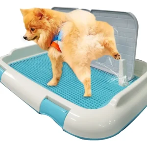 Baño entrenador para perro