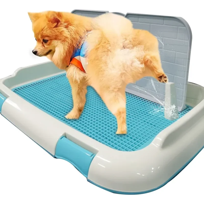 Baño entrenador para perro