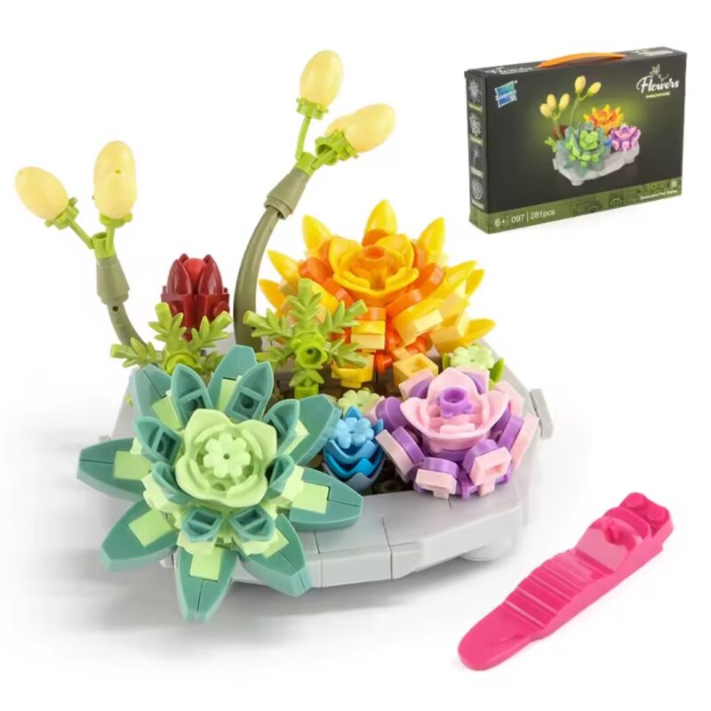 Bloques de construcción Suculentas